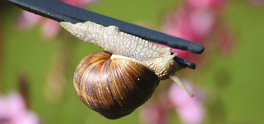 Blickwinkel & Sichtweisen