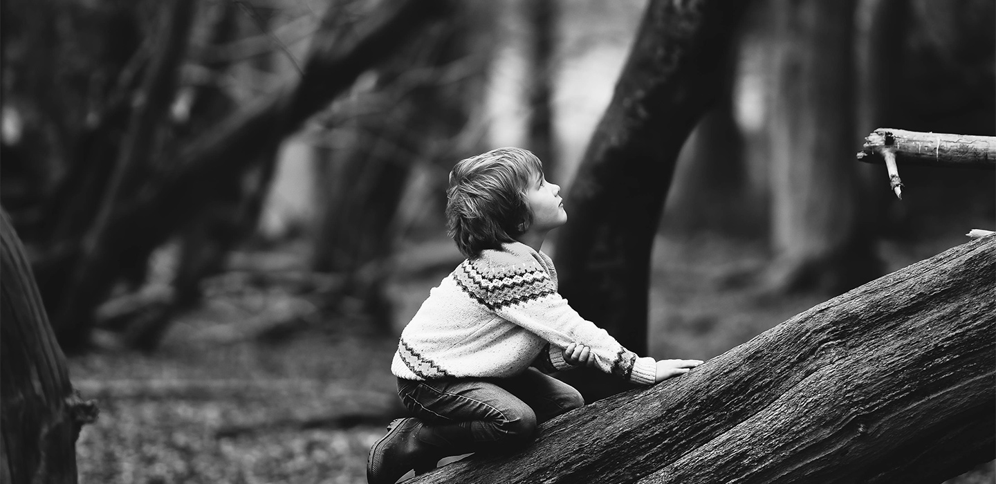 Ein Junge klettert auf einen Baum